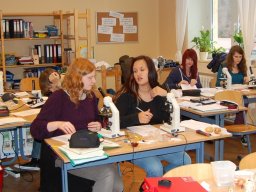 2_Mikroskopieren_Kl._11