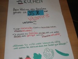 13_Informationsplakat