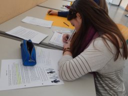 4_Weiterarbeit_an_den_Plakaten